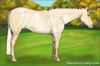 Horse Color:Silver Amber Champagne Pearl Dun Sabino Splash Brindle