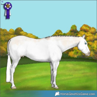 Horse Color:Silver Amber Champagne Pearl Dun Sabino Splash  Brindle