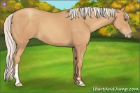 Horse Color:Silver Amber Champagne Frame 