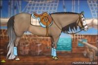 Horse Color:Sable Champagne Sabino Splash Frame 
