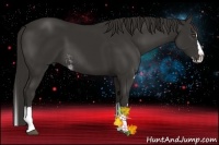 Horse Color:Liver Chestnut Sabino Splash