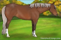 Horse Color:Silver Bay 