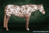 Horse Color:Chestnut Ice 