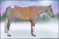 Horse Color:Silver Grullo Tobiano