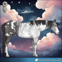 Horse Color:White Spotted Smoky Black Sabino