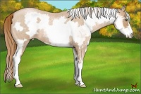 Horse Color:White Spotted Red Roan Pearl Frame 