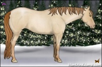 Horse Color:Red Dun Roan Pearl Frame 