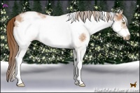 Horse Color:White Spotted Bay Pearl Frame