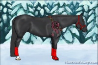 Horse Color:Black Frame 