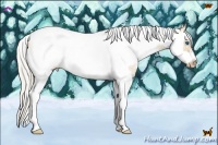 Horse Color:White Spotted Silver Bay Pearl Dun Splash Tobiano Frame 
