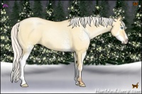 Horse Color:White Spotted Silver Amber Champagne Pearl Dun Splash Frame 