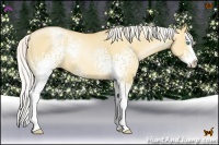 Horse Color:White Spotted Silver Amber Champagne Pearl Dun Splash Rabicano