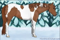 Horse Color:Chestnut Tobiano 