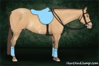Horse Color:White Spotted Amber Champagne Frame 