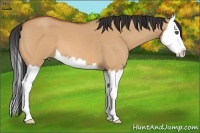 Horse Color:Bay Roan Dun Splash