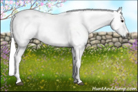 Horse Color:Gray Brown Splash