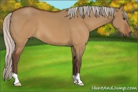 Horse Color:Silver Brown Dun