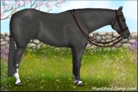 Horse Color:Smoky Black Sabino 
