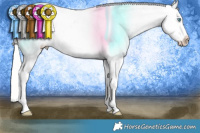 Horse Color:Silver Classic Champagne Pearl Varnish 