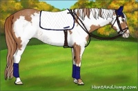 Horse Color:White Spotted Chestnut Frame 