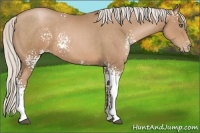 Horse Color:White Spotted Silver Black Pearl 