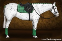 Horse Color:Blue Roan Near Leopard 