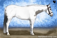 Horse Color:Grullo Roan Splash Tobiano Frame