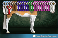 Horse Color:Buckskin Splash 