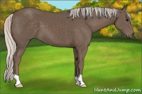 Horse Color:Silver Black 