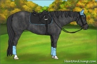 Horse Color:Black  Brindle