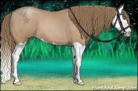 Horse Color:Black Pearl Splash