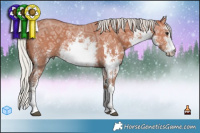 Horse Color:White Spotted Silver Brown Ice Sabino 