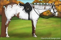 Horse Color:White Spotted Chestnut Sabino Frame 