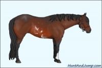 Horse Color:White Spotted Bay Sabino Frame 
