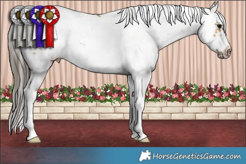 Horse Color:White Spotted Buckskin Sabino Frame 