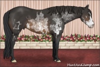 Horse Color:White Spotted Buckskin Sabino Frame 