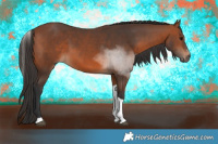 Horse Color:Brown Sabino Tobiano