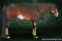 Horse Color:Brown Sabino Frame