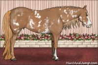 Horse Color:White Spotted Chestnut Sabino Frame 