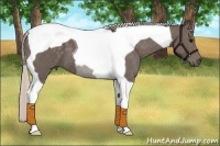 Horse Color:Silver Black Tobiano