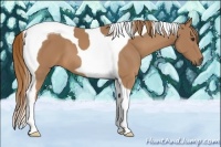 Horse Color:Chestnut Tobiano