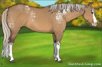 Horse Color:White Spotted Silver Bay Dun Splash