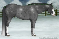 Horse Color:Black Sabino Splash