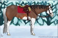 Horse Color:Bay Roan Splash