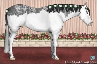 Horse Color:Black Ice Sabino Splash