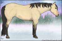Horse Color:Buckskin Roan Dun 