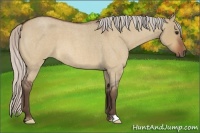 Horse Color:Silver Bay Roan Dun Frame