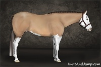 Horse Color:Amber Champagne Splash 