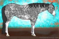 Horse Color:Smoky Black Ice Sabino