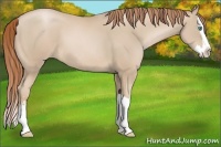 Horse Color:Smoky Black Pearl Sabino Splash